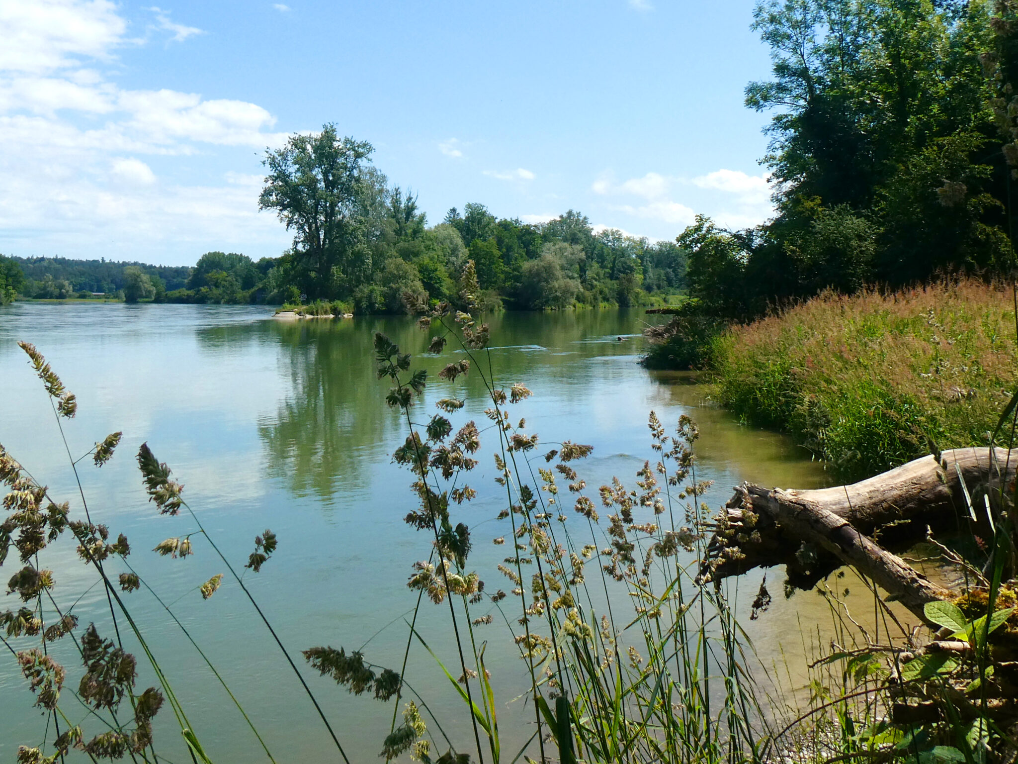 Vortrag Die Thurauen Naturzentrum Thurauen